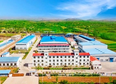 Our Factory