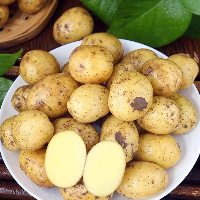 小土豆1500g