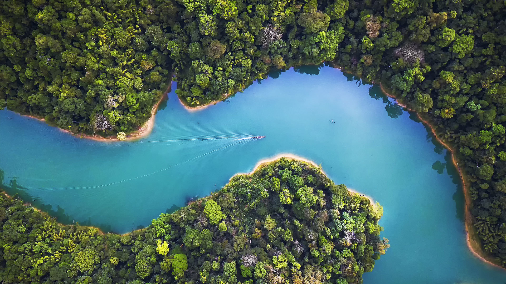 Environmental Protection