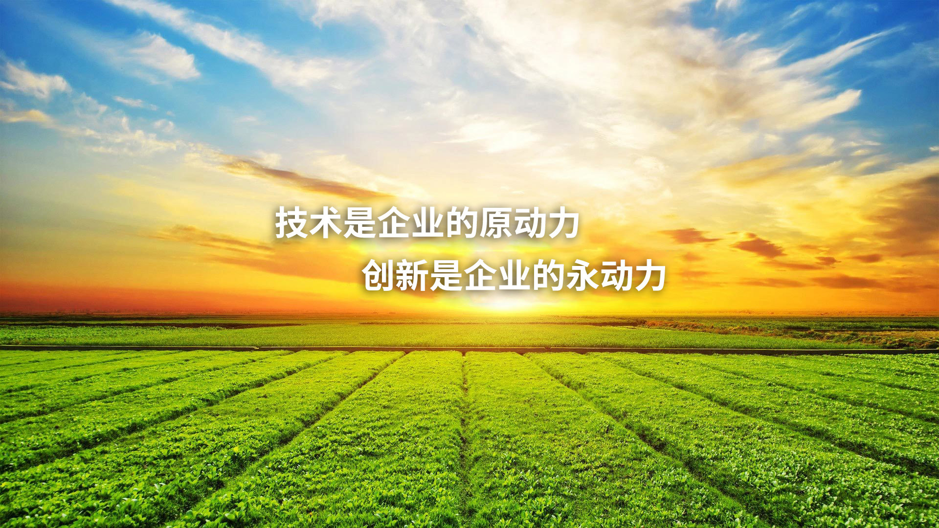 現代農化