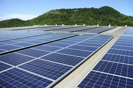 The Wind And Solar Energy Industries In The United States Are Facing A "Survival Crisis"