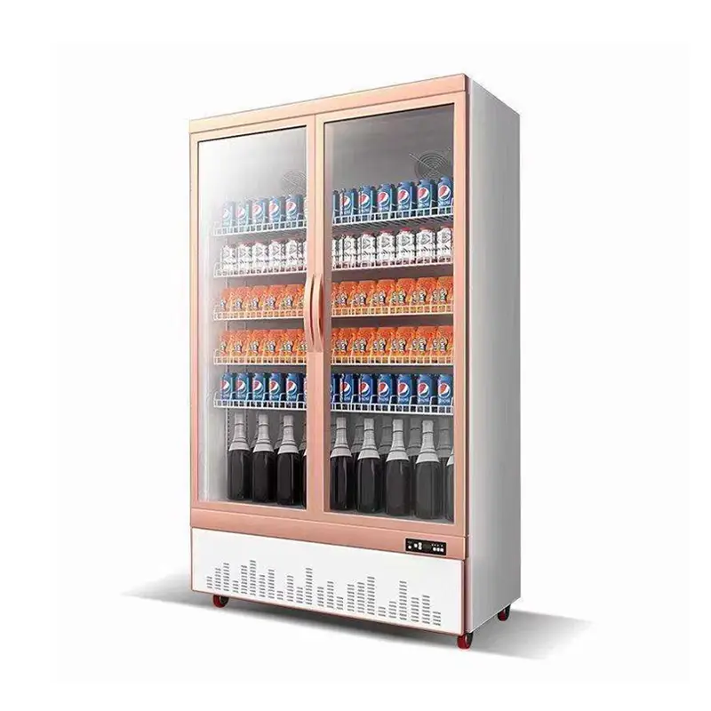 Double door fridge upright display fridge