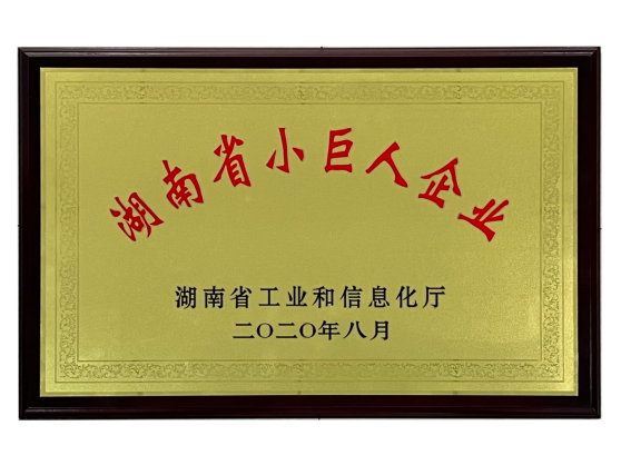 湖南省小巨人企业