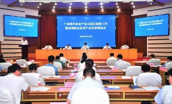 祥盛公司在廣西現(xiàn)代林業(yè)產(chǎn)業(yè)示范區(qū)創(chuàng)建工作推進會上作典型發(fā)言