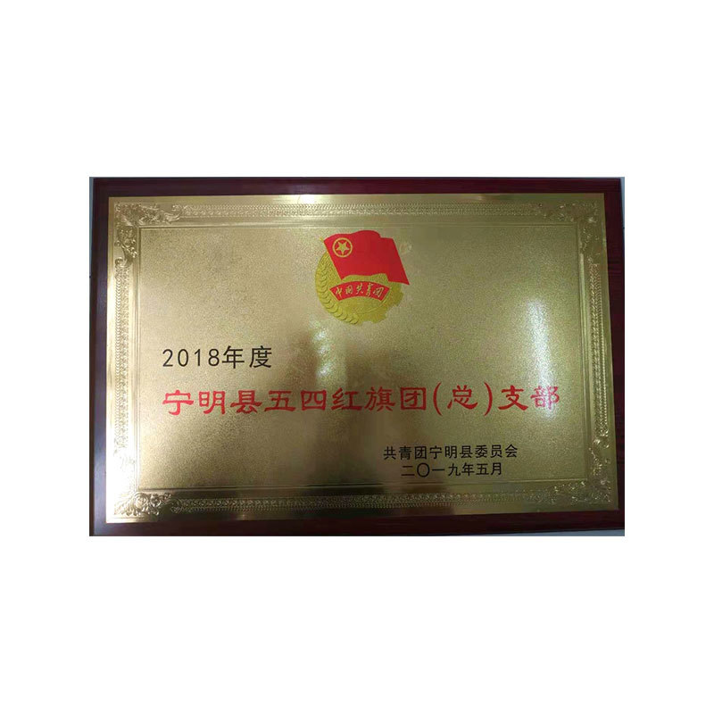 寧明縣五四五紅旗團(tuán)（總）支部