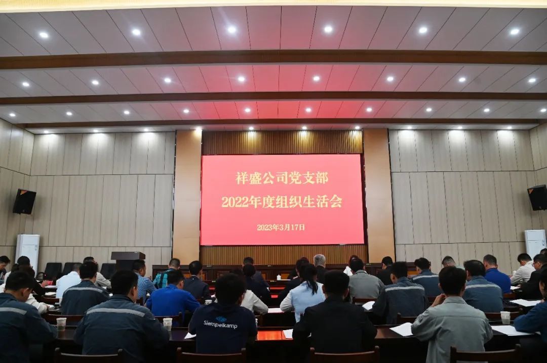 葉家義指導(dǎo)祥盛公司黨支部2022年度組織生活會(huì)