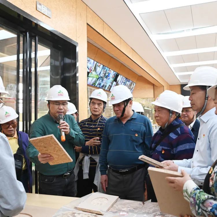 崇左市人大機(jī)關(guān)退休干部黨支部考察調(diào)研祥盛股份綠色板材產(chǎn)業(yè)園