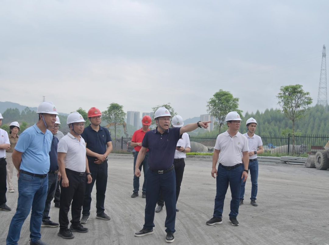 龐贊松調(diào)研環(huán)江刨花板項目建設