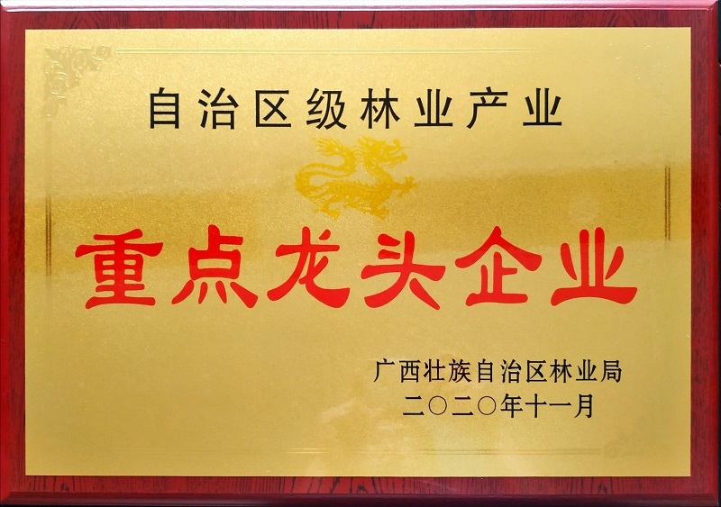 重點龍頭企業(yè)