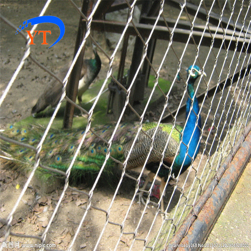 Bird Netting