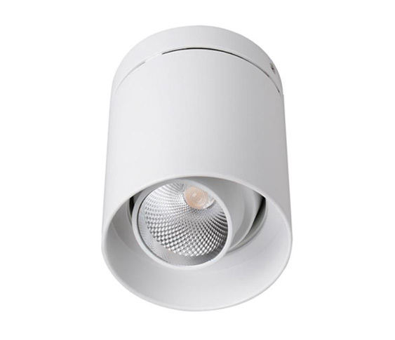 D516 surface mounted downlight