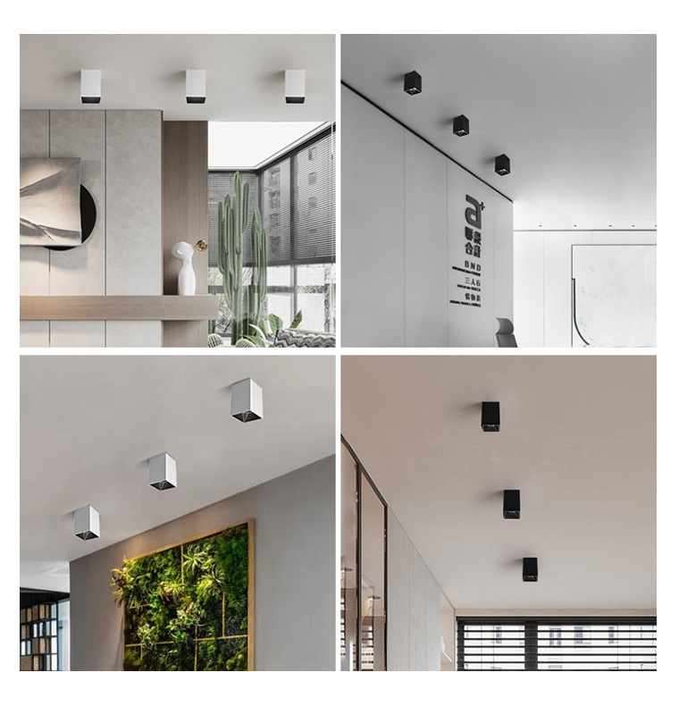 D617 surface mounted downlight