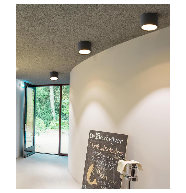 D616 surface mounted downlight
