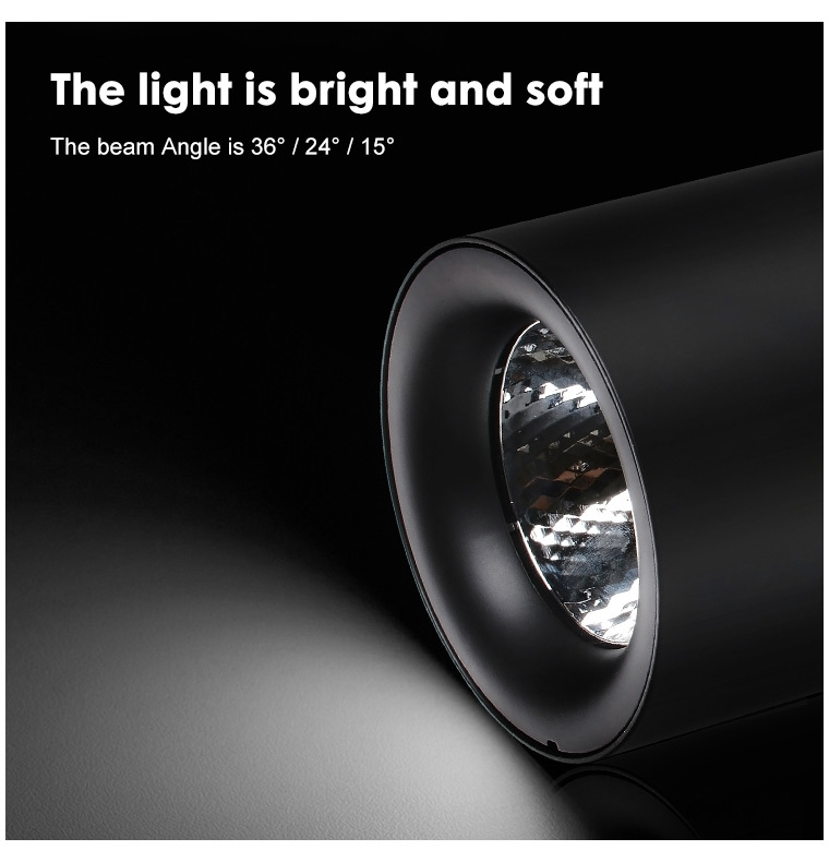 D518 surface mounted downlight
