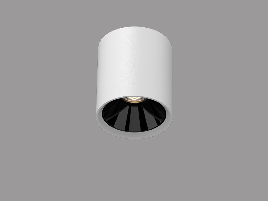 Surface mounted downlight