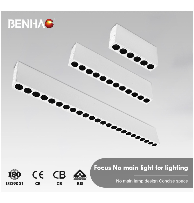 D2201 liner light