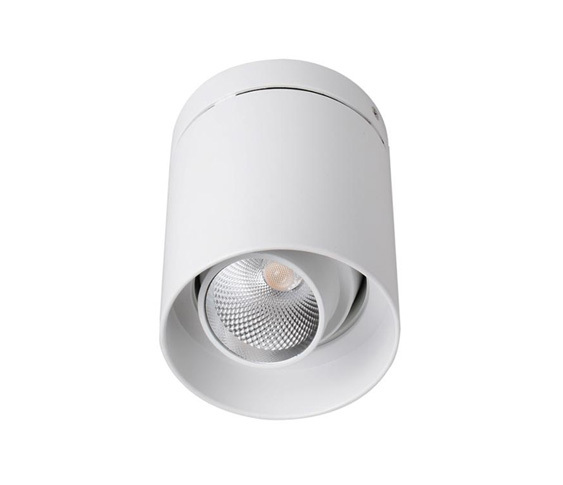 D516 surface mounted downlight