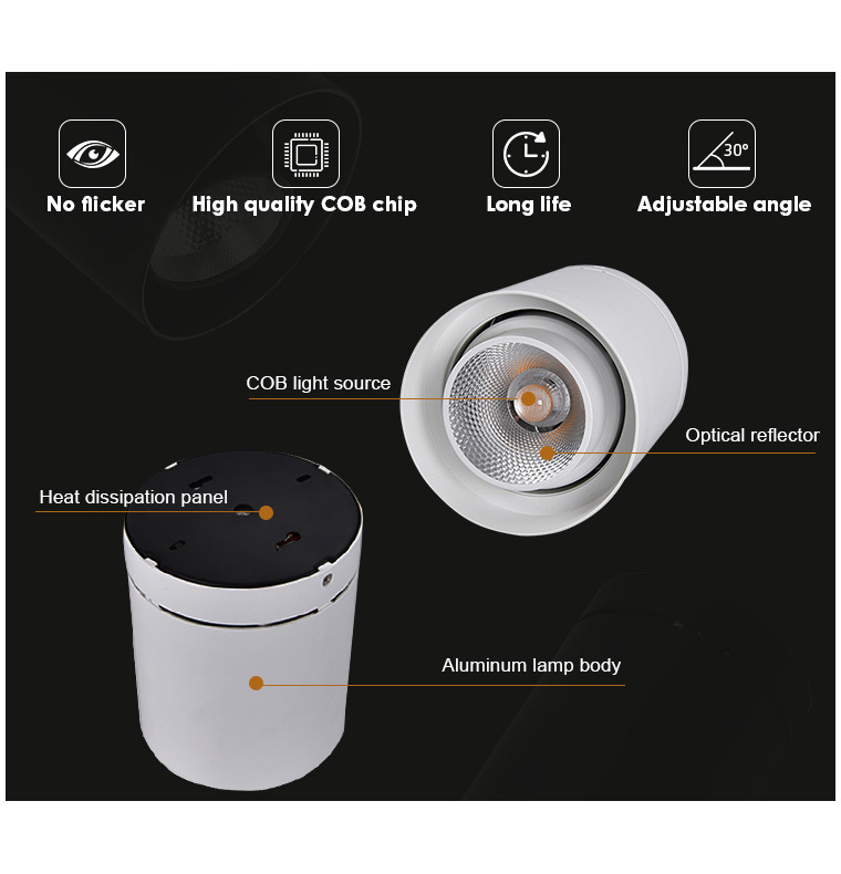 D516 surface mounted downlight