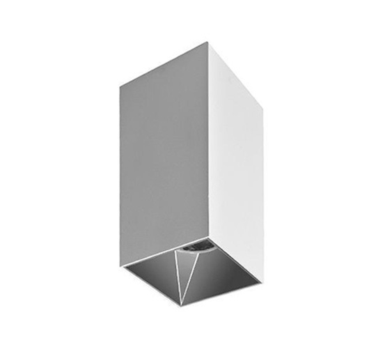 D617 surface mounted downlight