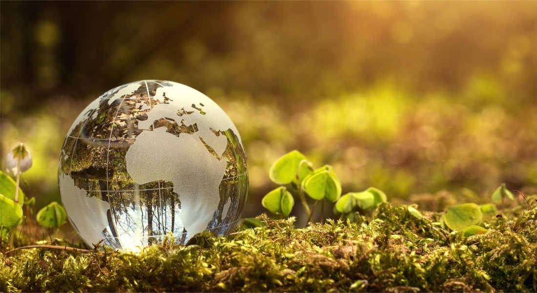 How companies respond to changing market environments How companies respond to changing market environments