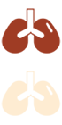 內(nèi)一科