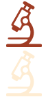 功能科