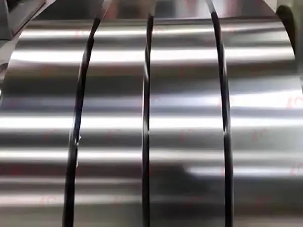 Stainless Steel Strip