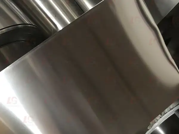 Stainless Steel Strip