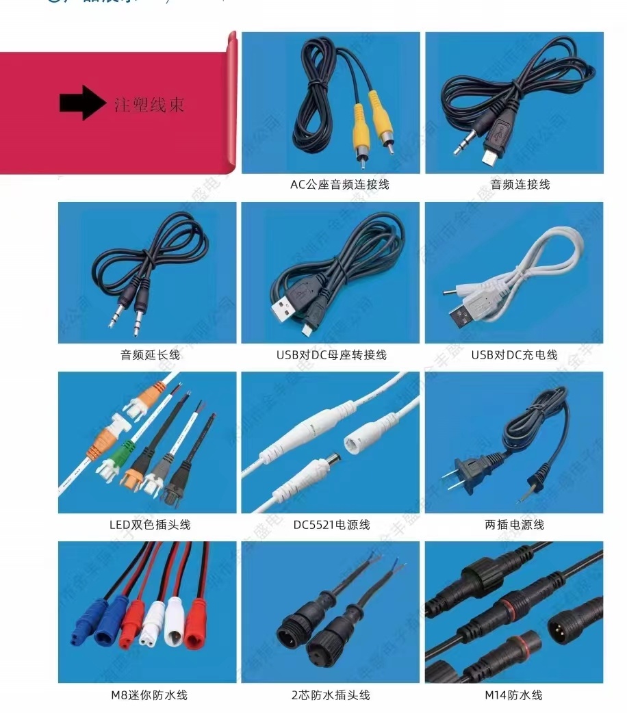 Injection molded wire harness