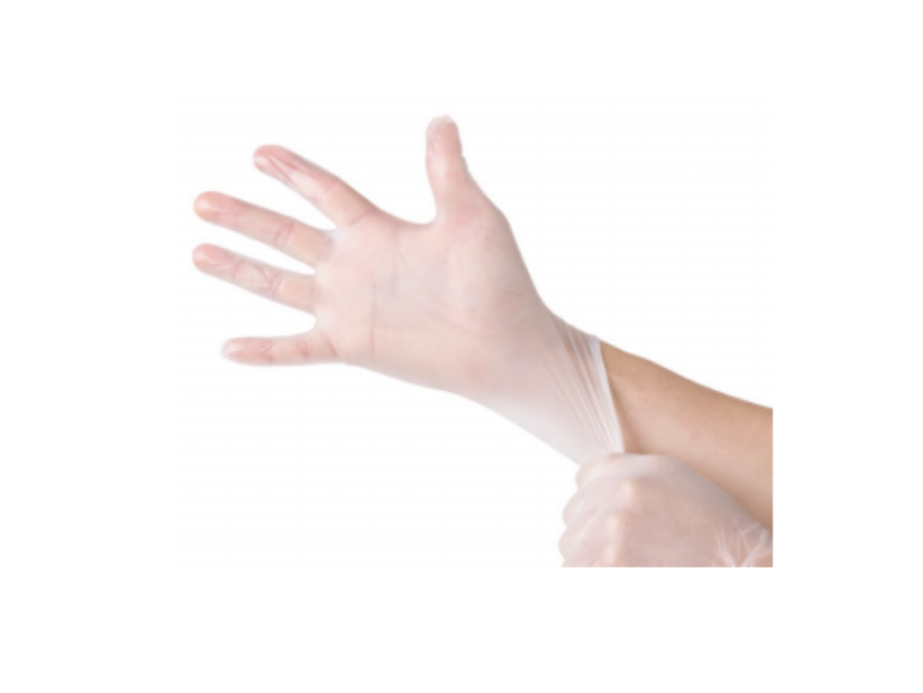 Disposable Vinyl Gloves