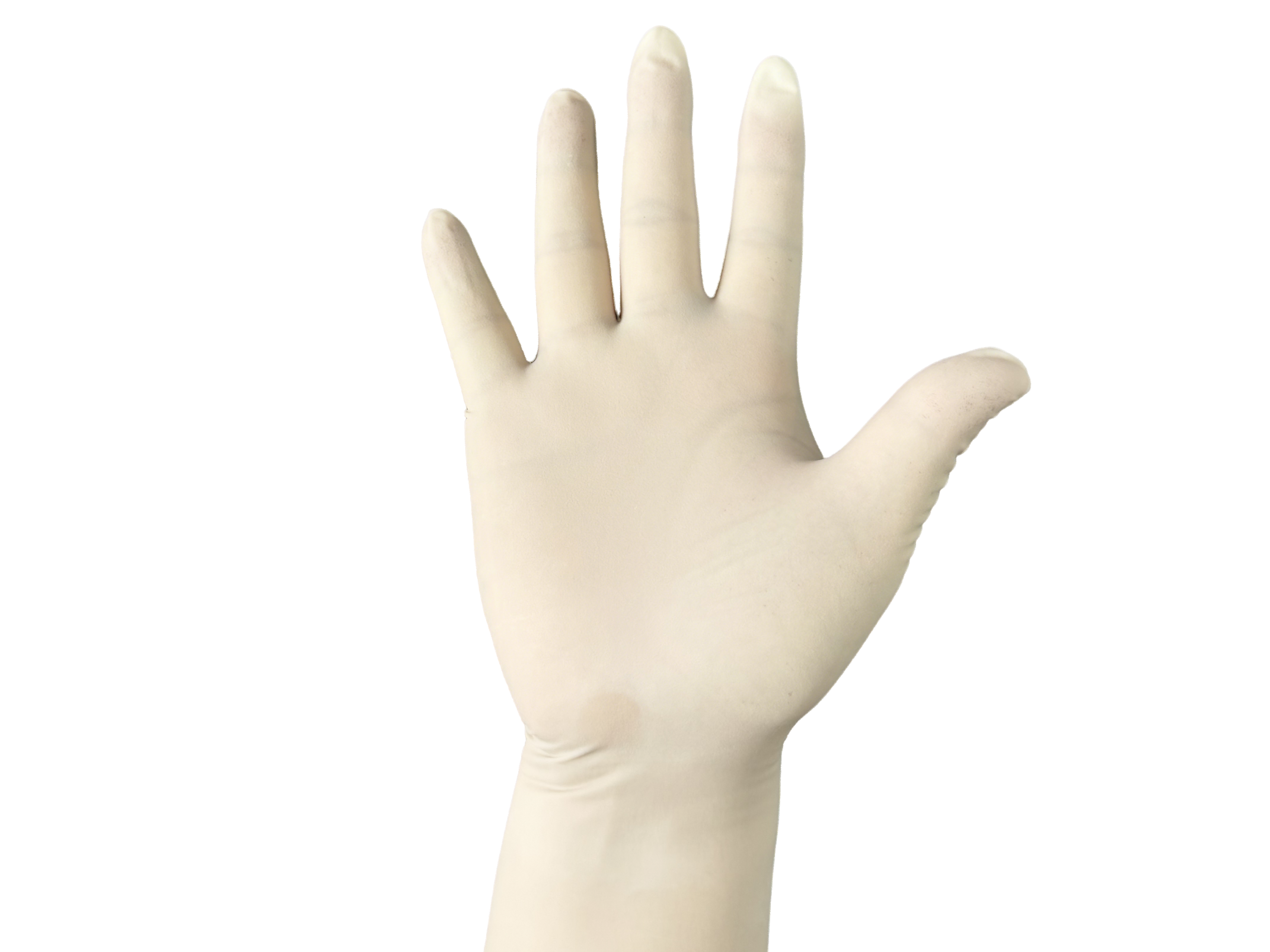 Surgical Gloves