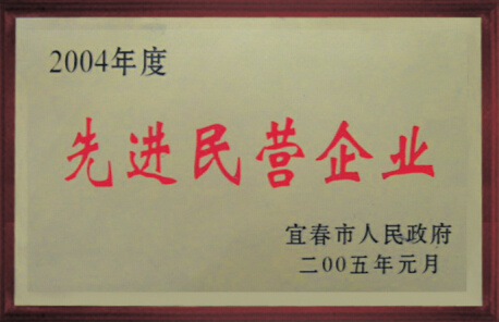 先進(jìn)民營企業(yè)