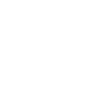 playBtn