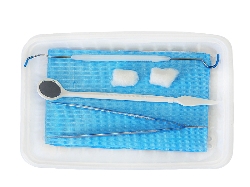 Disposable oral instrument case