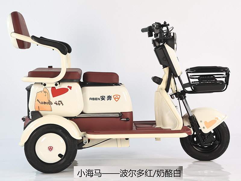 Industry development of three-wheeled electric vehicles