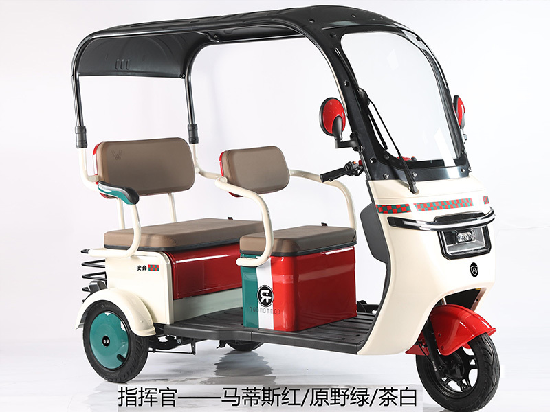 Electric tricycle in the domestic audience