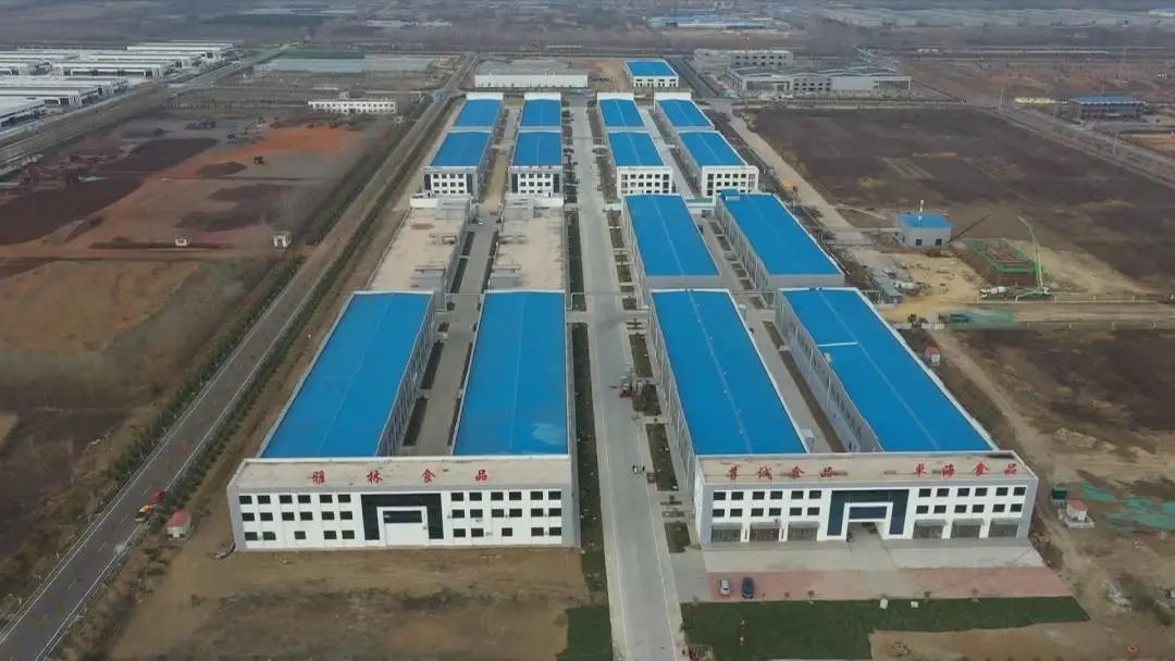 xinbo
