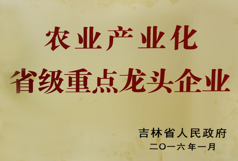 榮譽證書