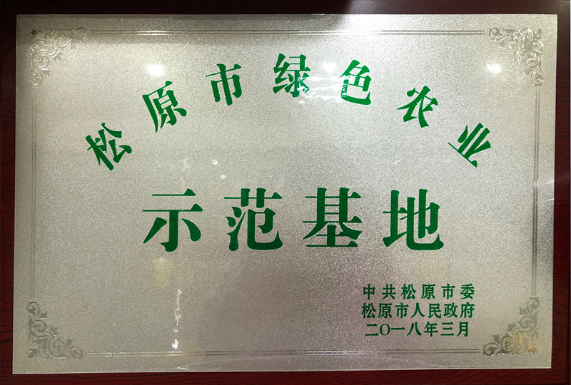 榮譽(yù)證書