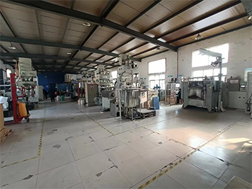 Appearance of the factory