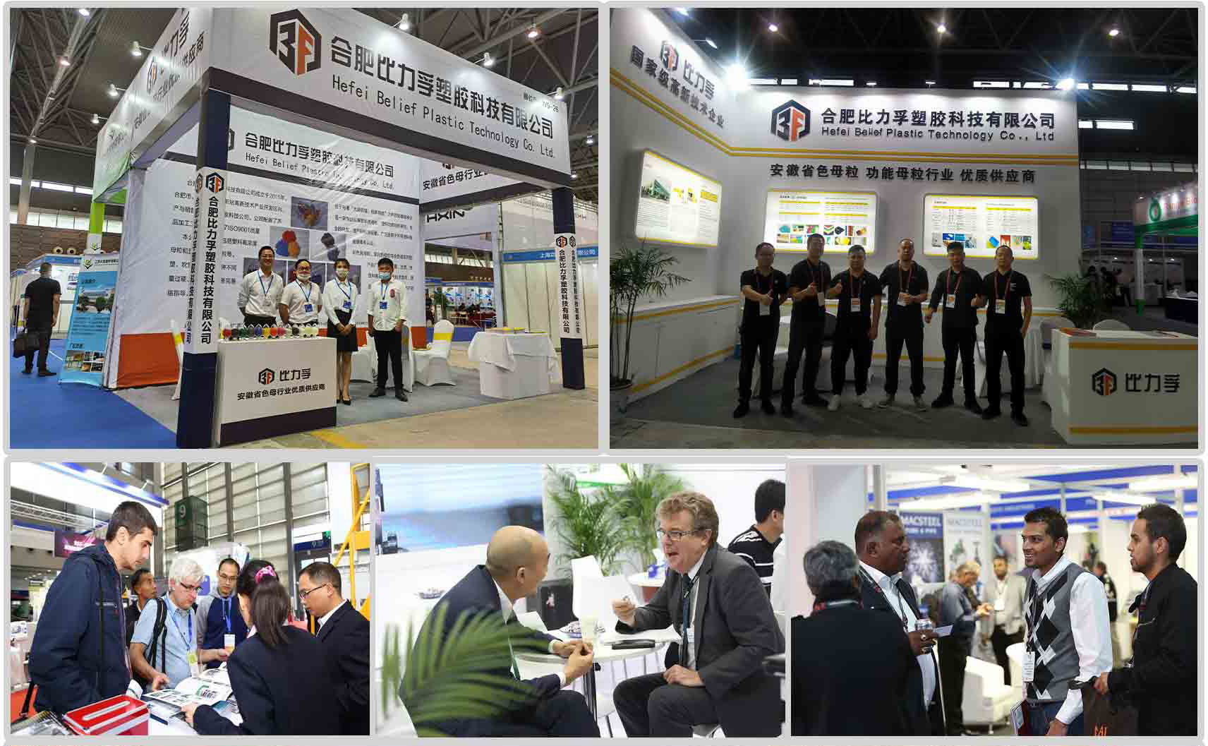 Exhibition activities
