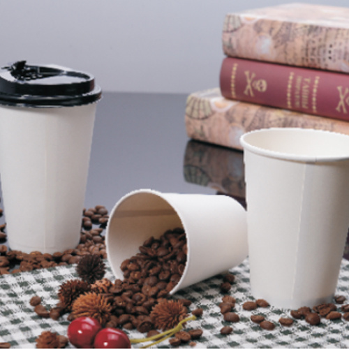 White Double Wall Biocups