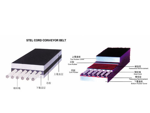 Steel cord conveyor belt