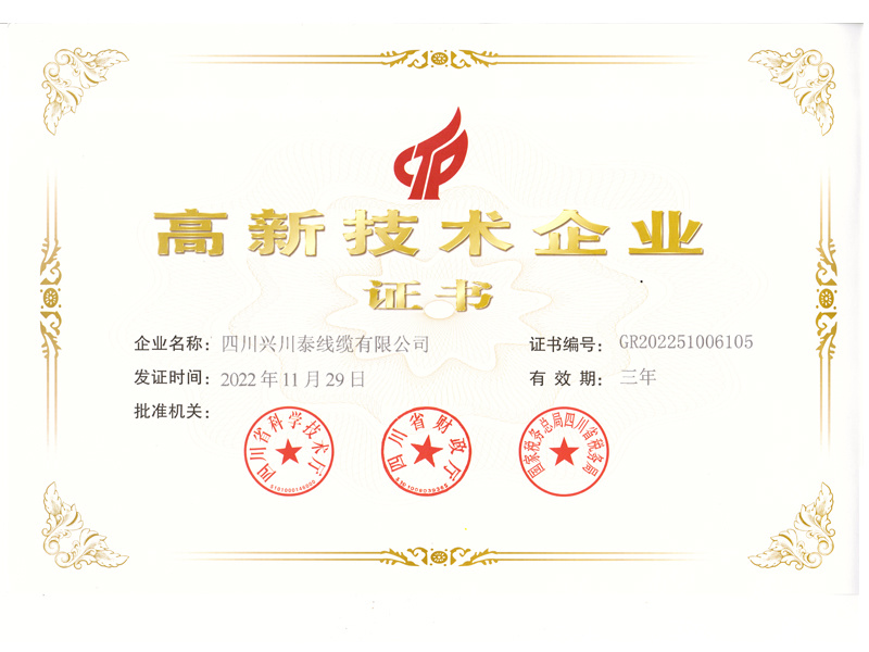 高新技術(shù)企業(yè)