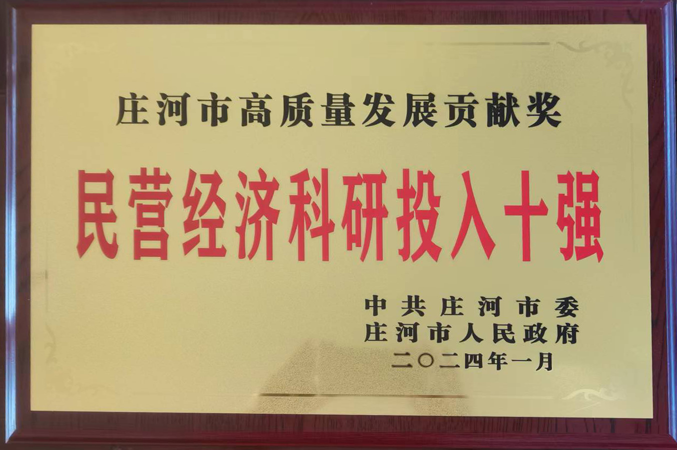 莊河市民營經(jīng)濟科研投入十強企業(yè)