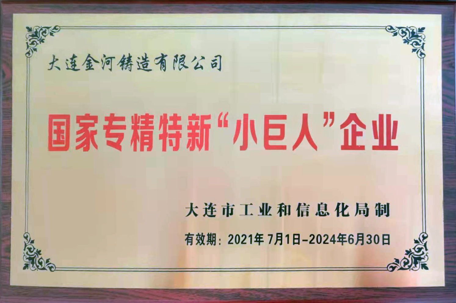 大連市國家專精特新“小巨人”企業