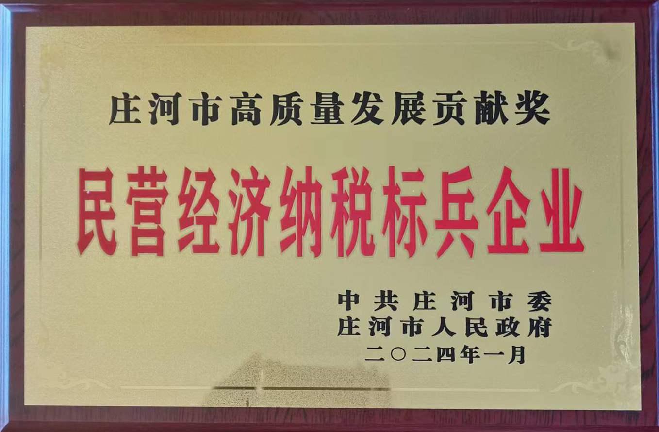 莊河市民營經(jīng)濟納稅標兵企業(yè)