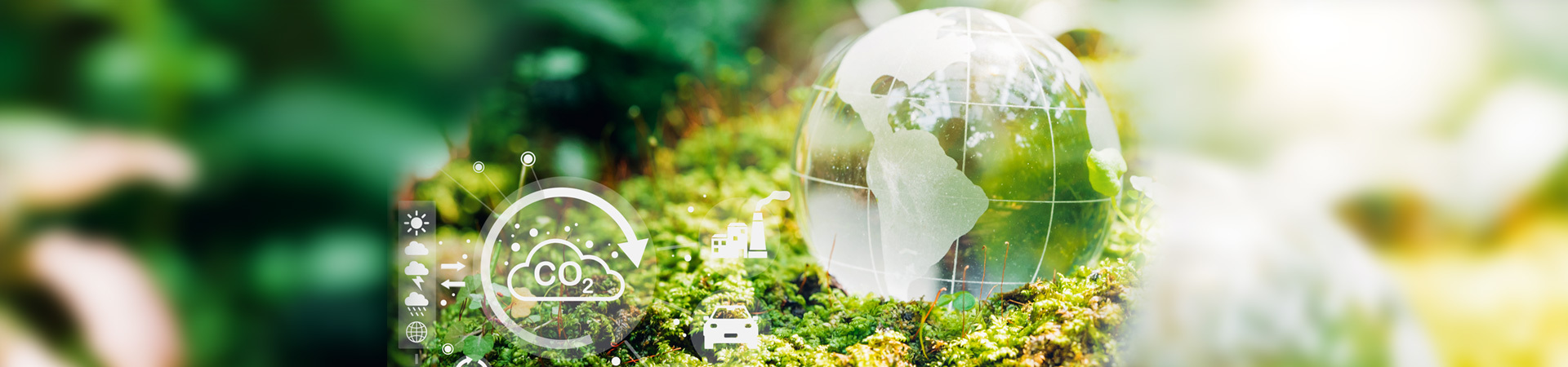 Sustainability