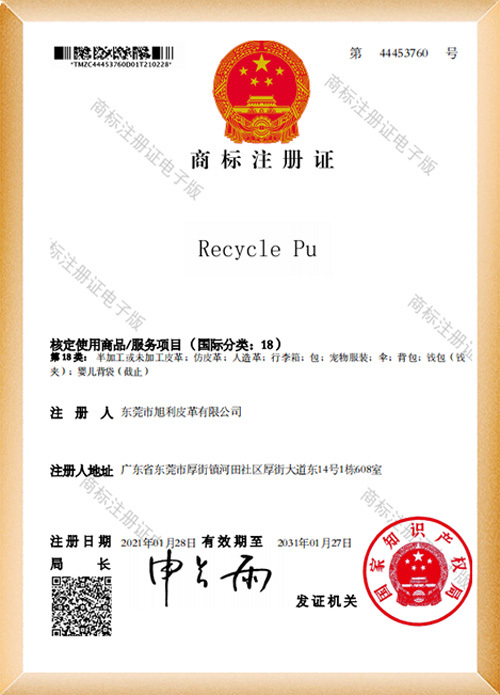Recycle Pu