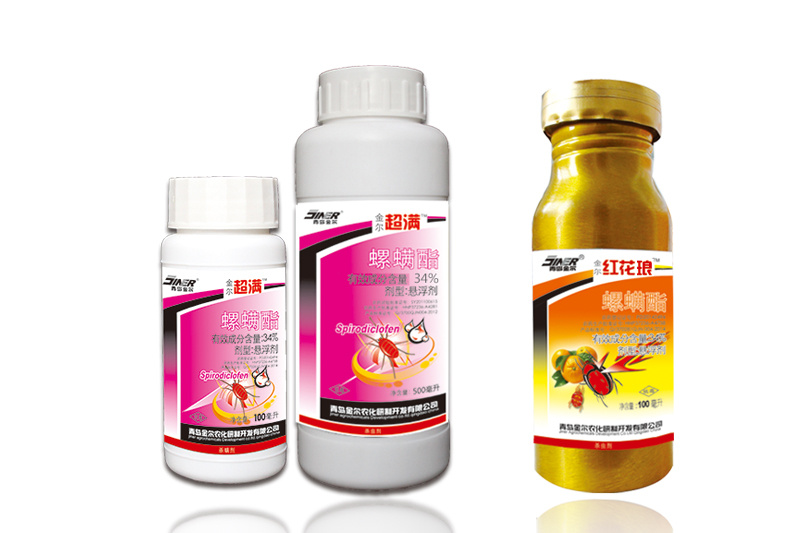 金爾超滿|金爾紅花瑯